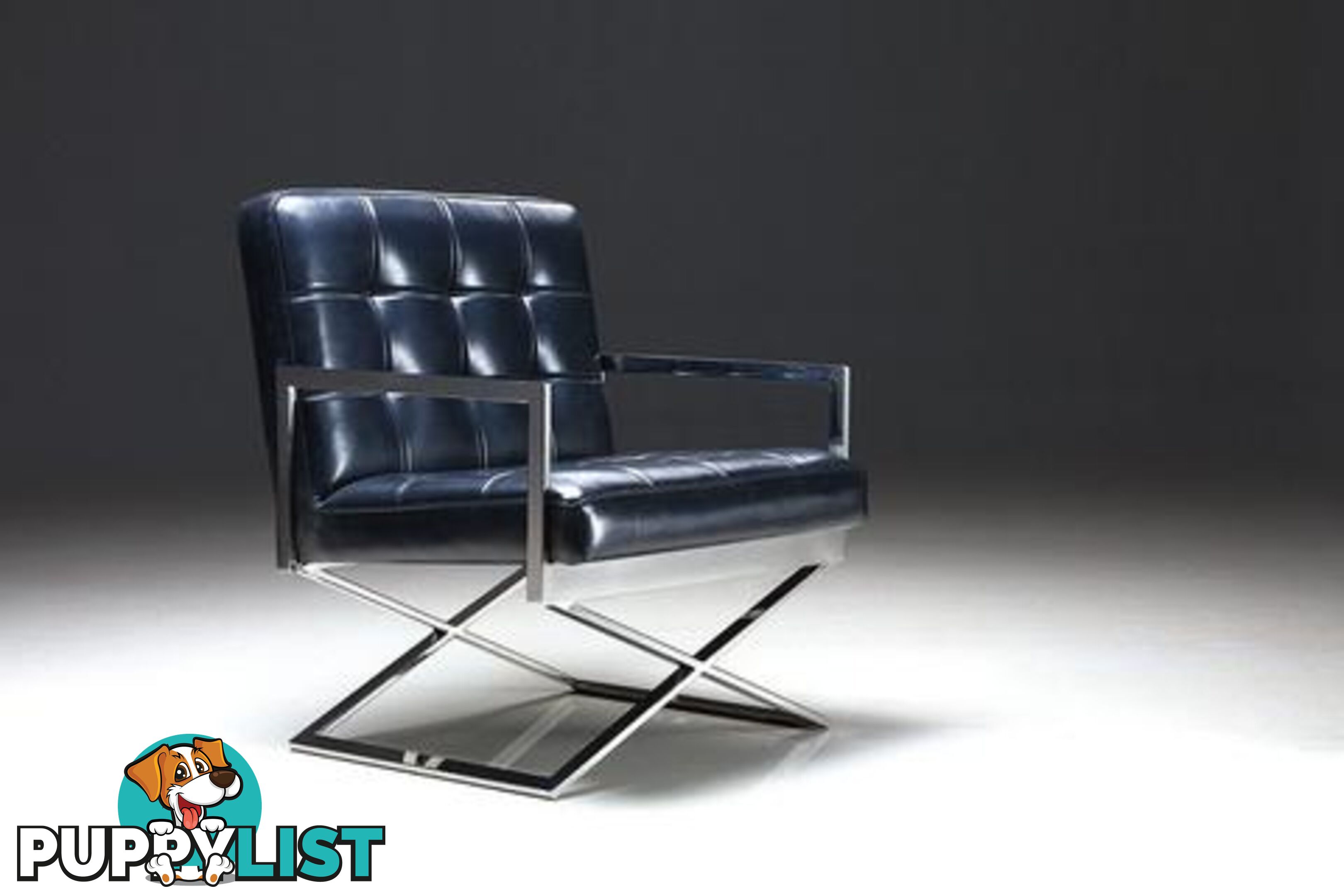 Modern Black Leisure Chair