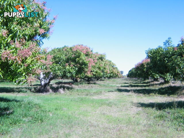 Lot 1 Millers Lane Bowen QLD 4805