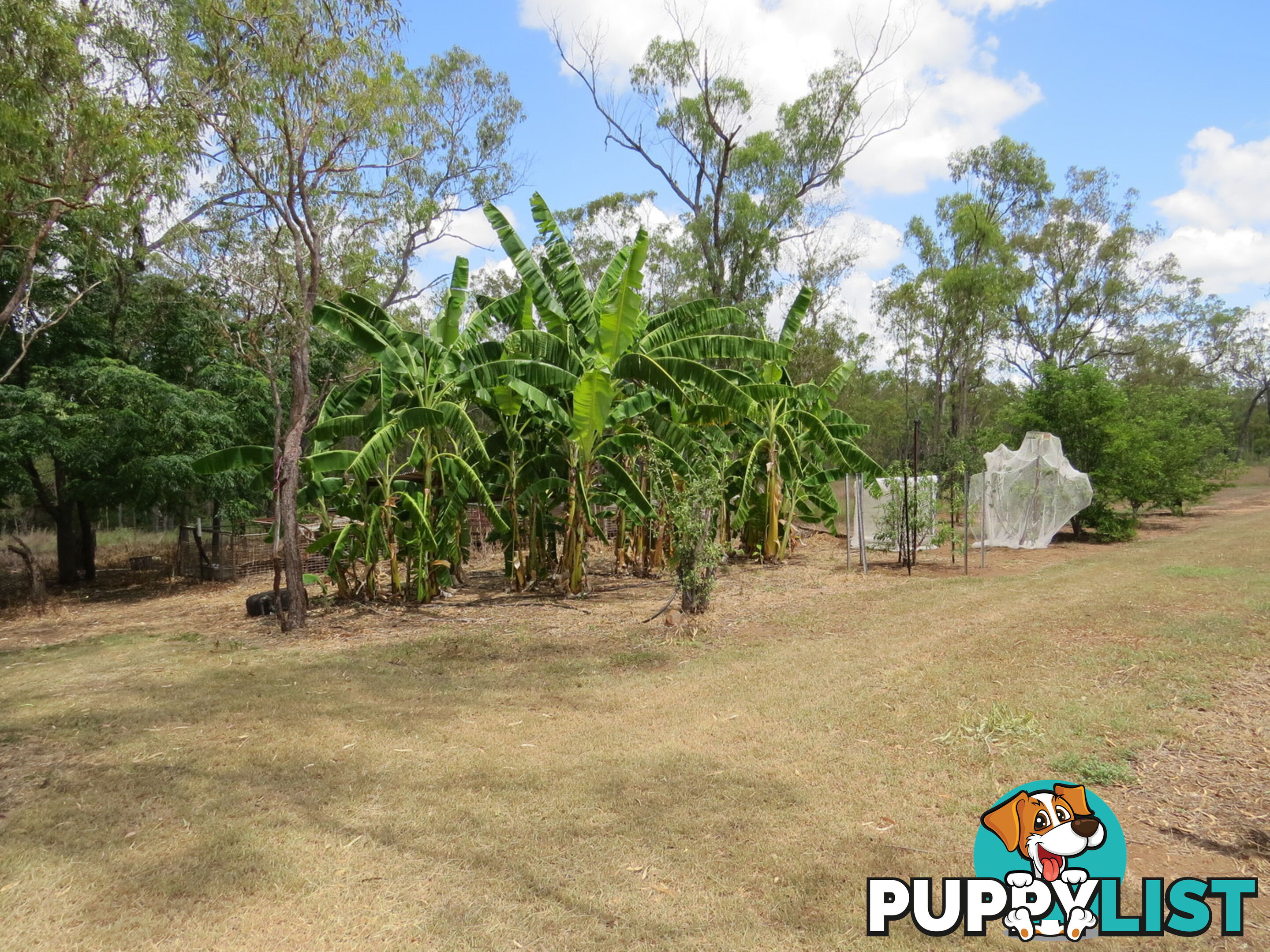 334 Normanby Road Bowen QLD 4805