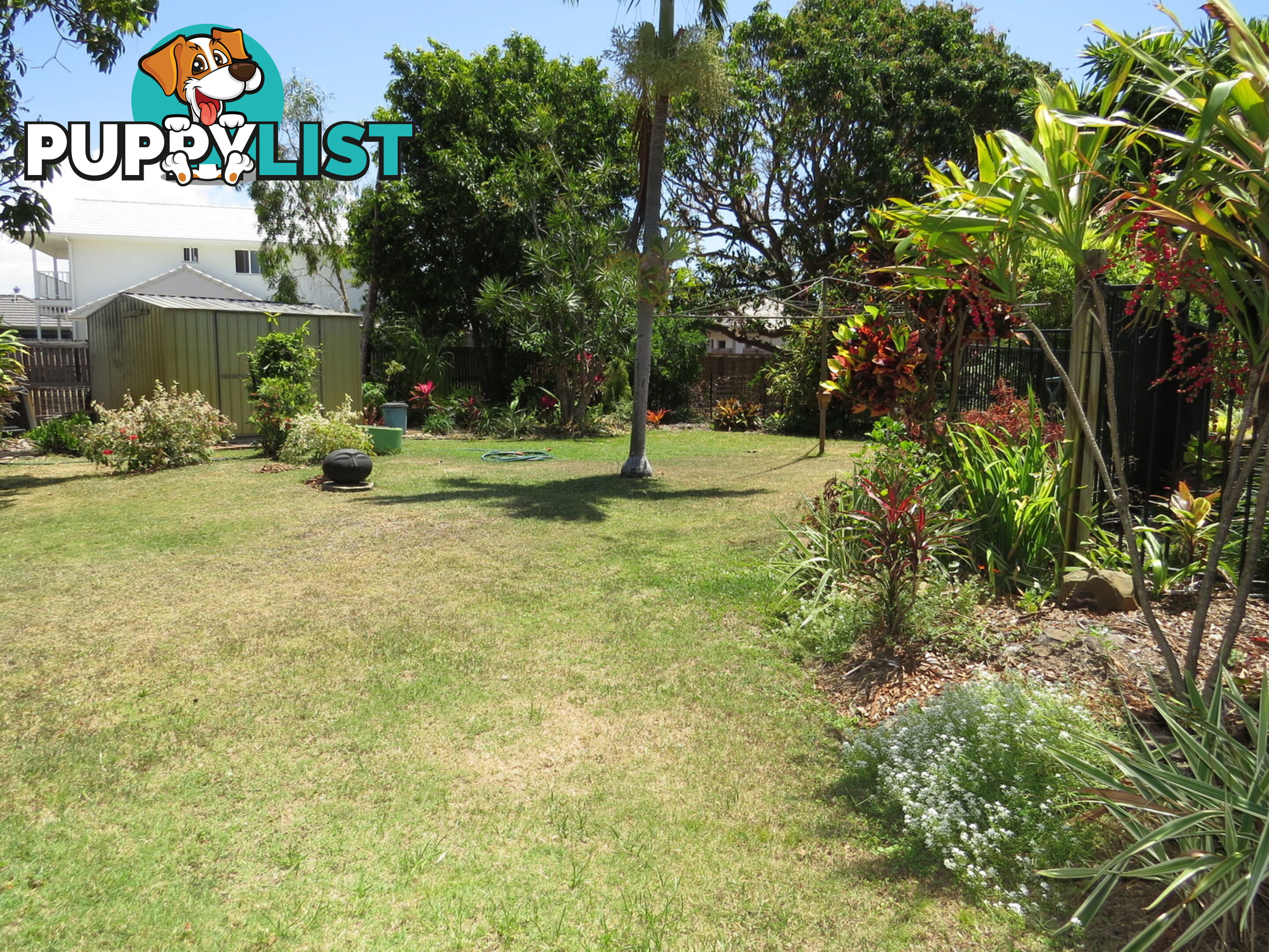 15 Gilbert Street Bowen QLD 4805