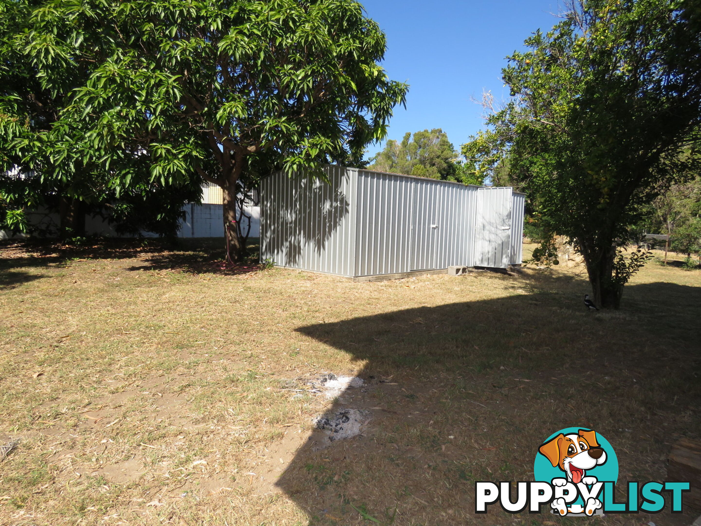 10 Salisbury Crescent Bowen QLD 4805