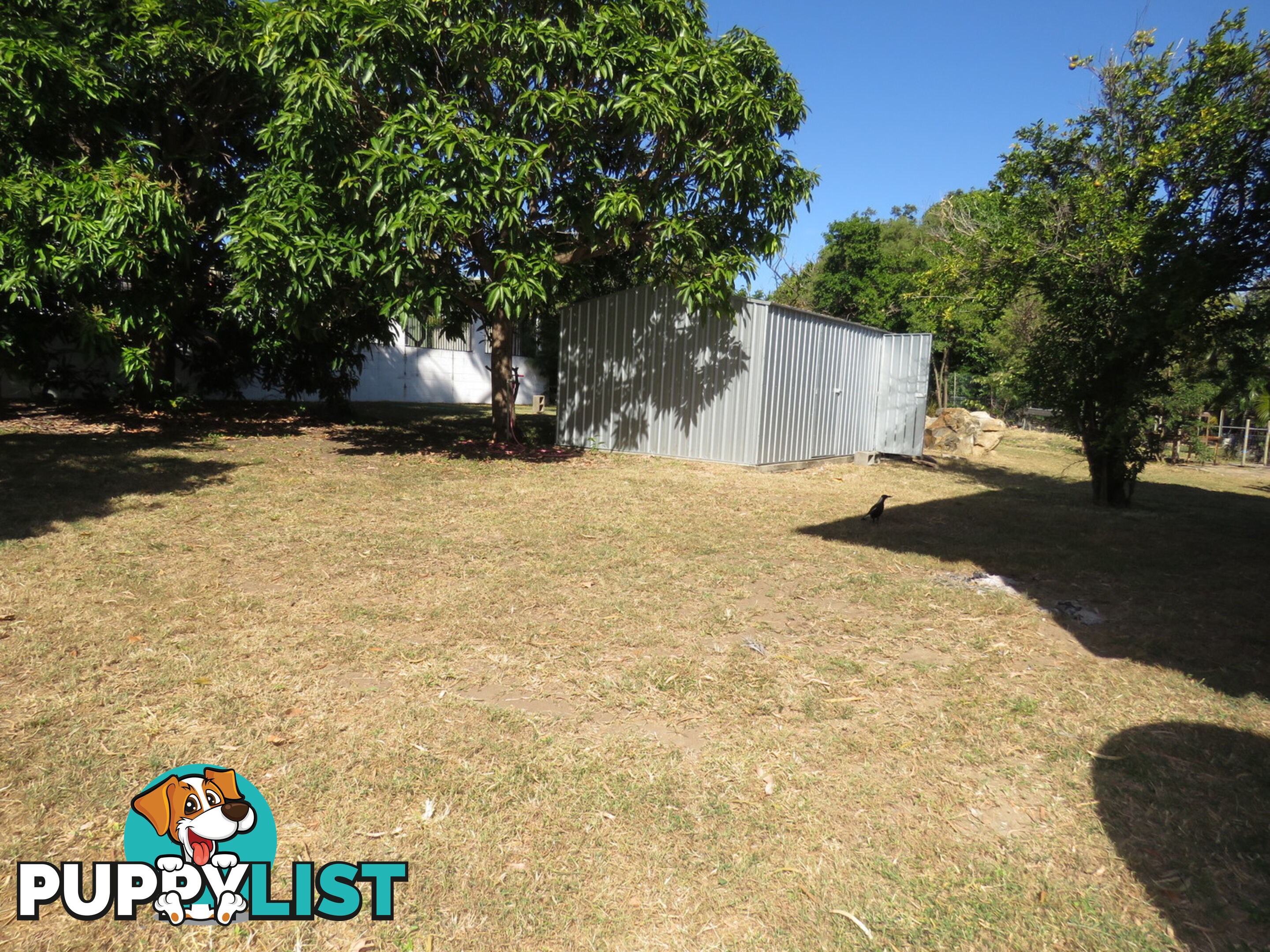 10 Salisbury Crescent Bowen QLD 4805