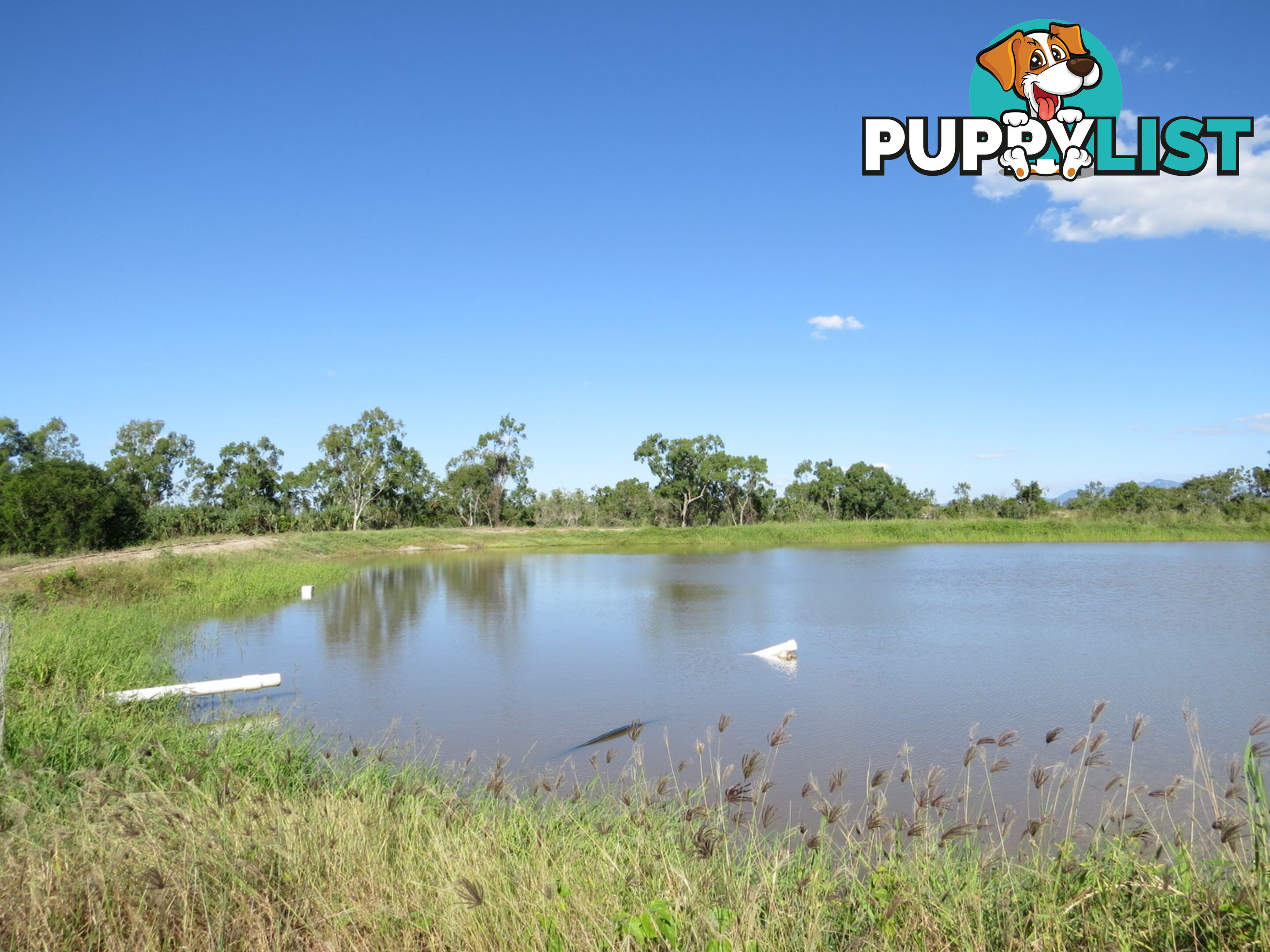 Lot 14 Bruce Highway Bowen QLD 4805