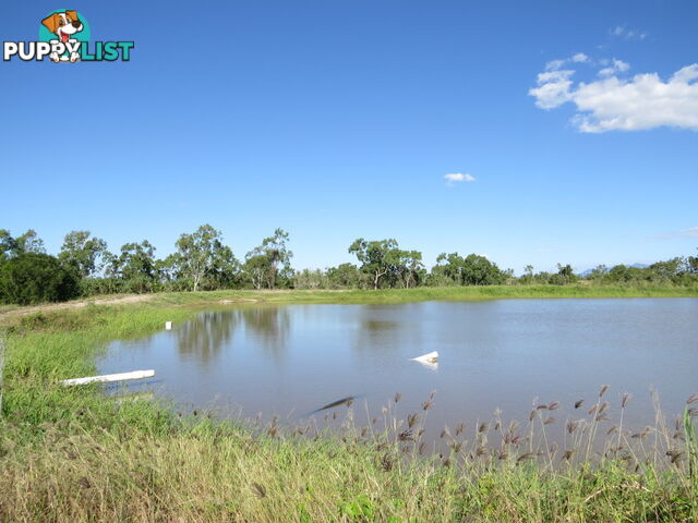 Lot 14 Bruce Highway Bowen QLD 4805