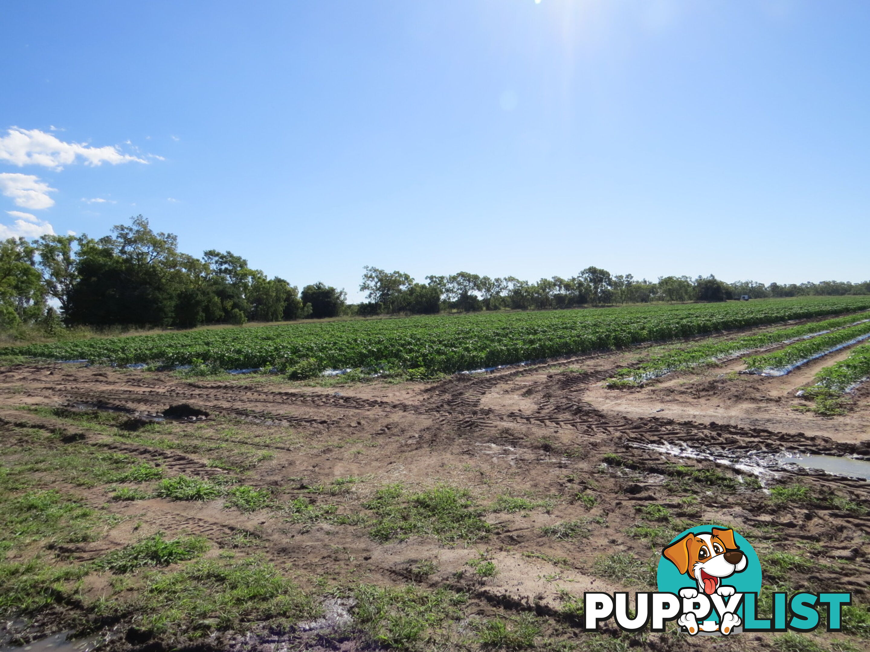 Lot 14 Bruce Highway Bowen QLD 4805