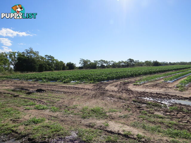 Lot 14 Bruce Highway Bowen QLD 4805