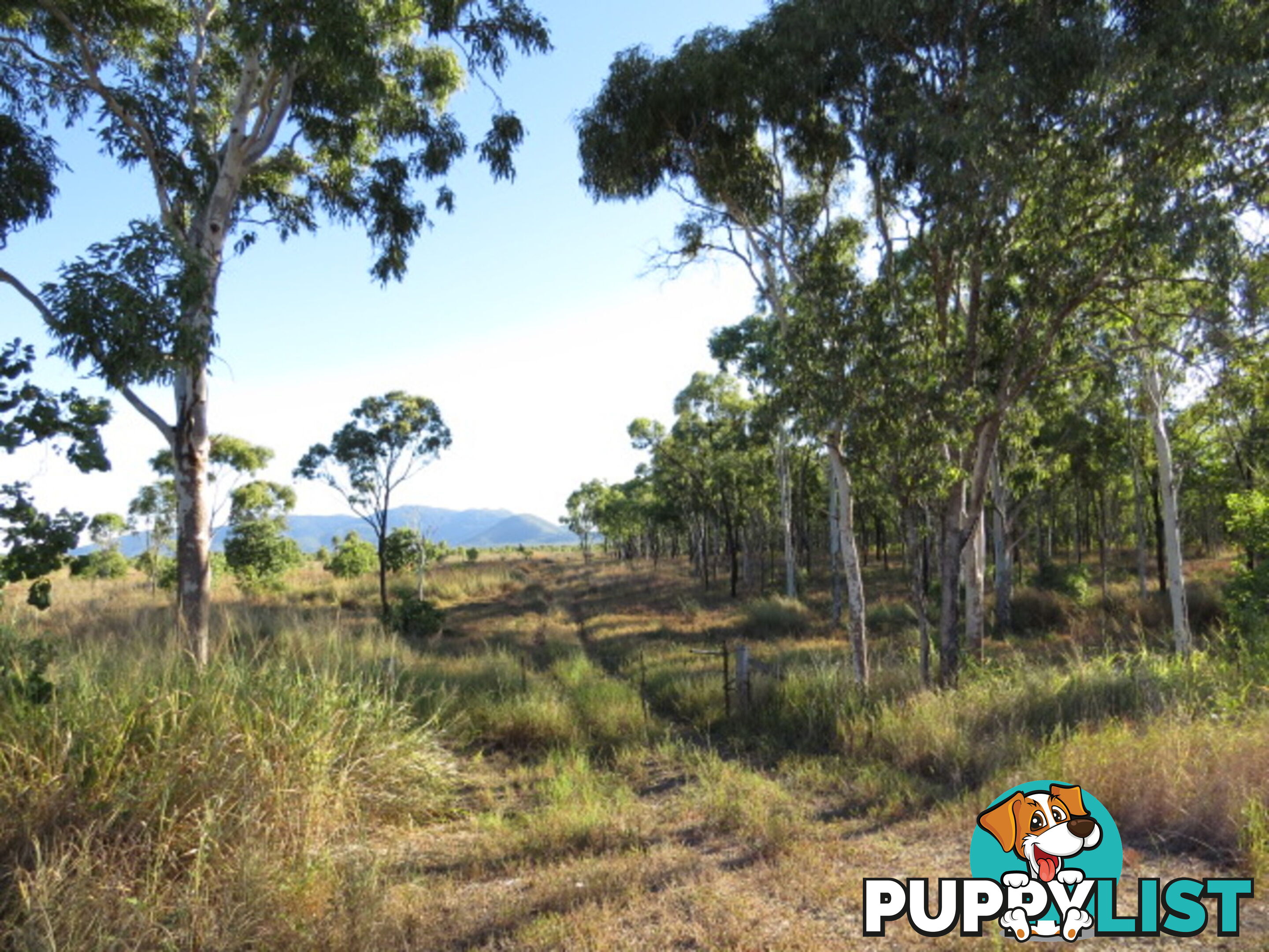 Lot 286 Bruce Highway Bowen QLD 4805