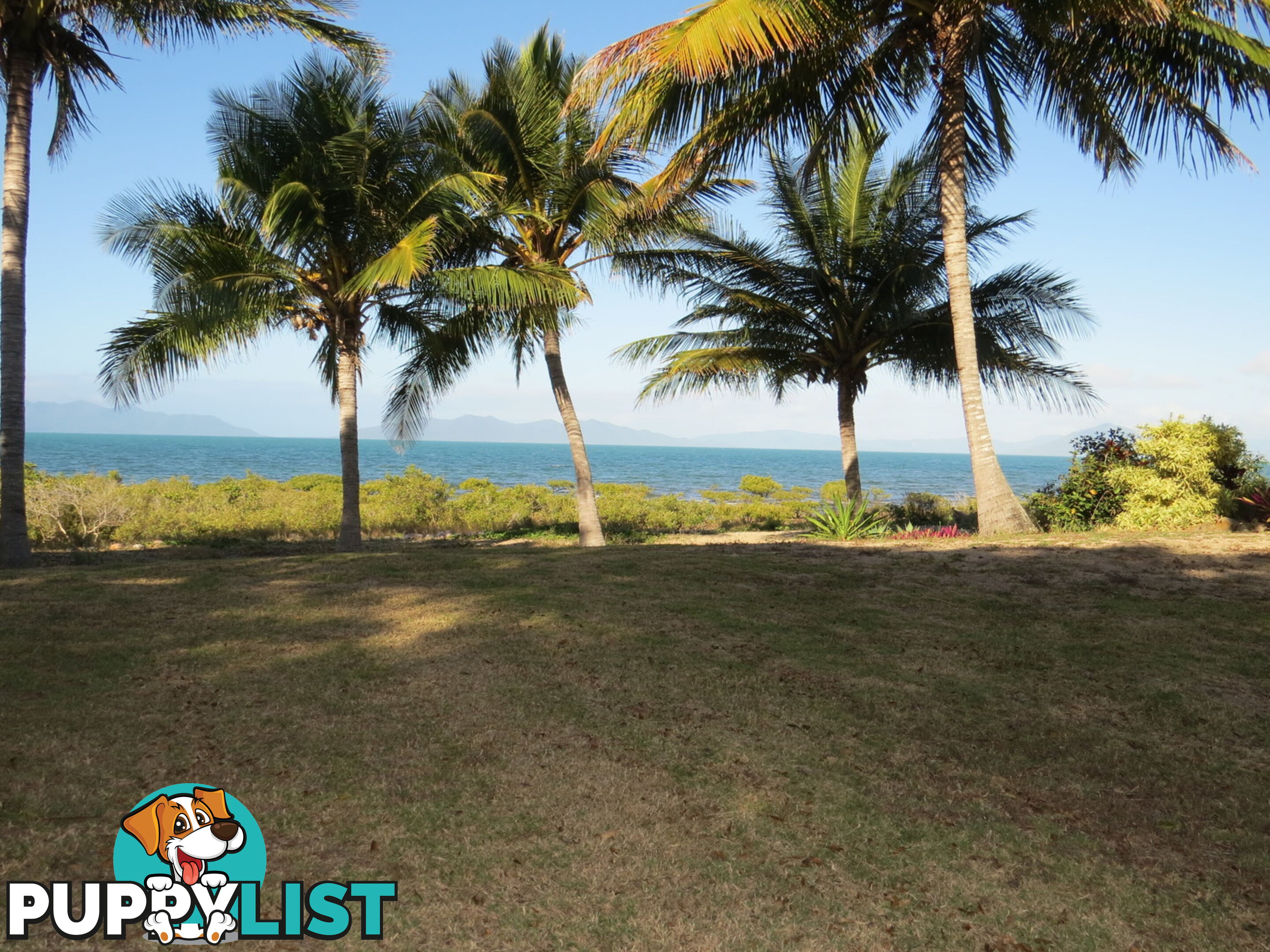 6 Baxter Avenue Brisk Bay QLD 4805