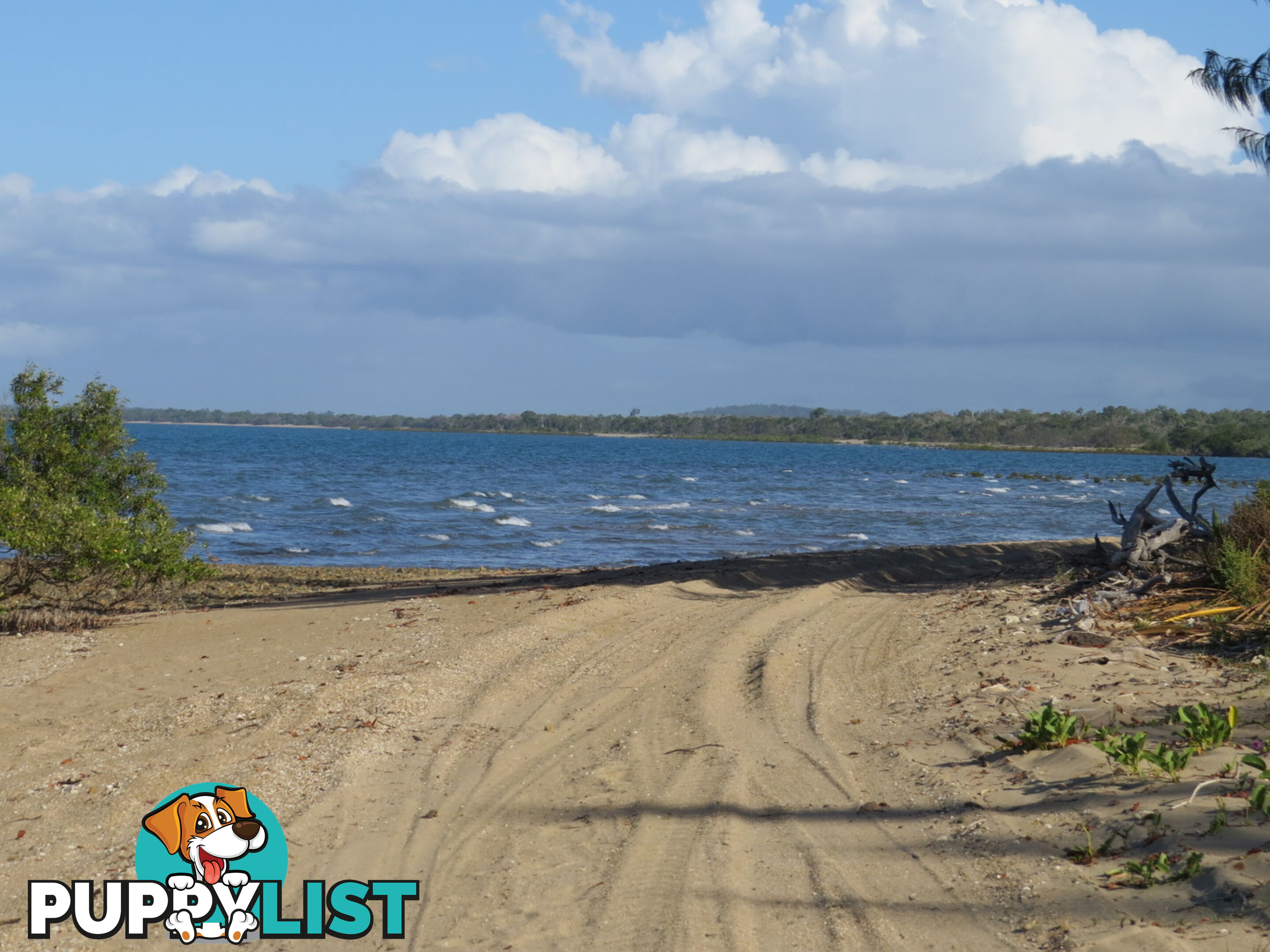 6 Baxter Avenue Brisk Bay QLD 4805