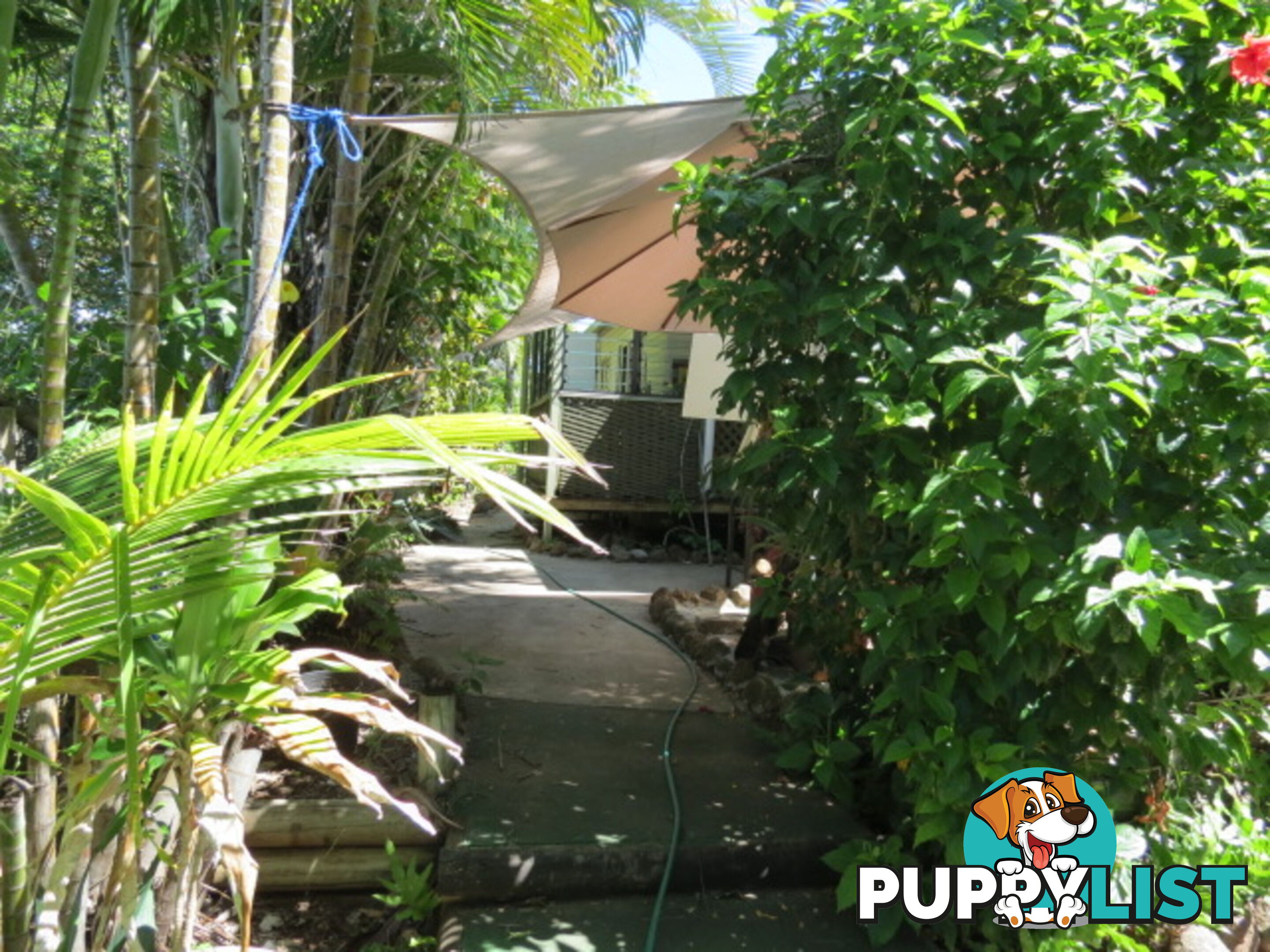 36 Gloucester Street Bowen QLD 4805