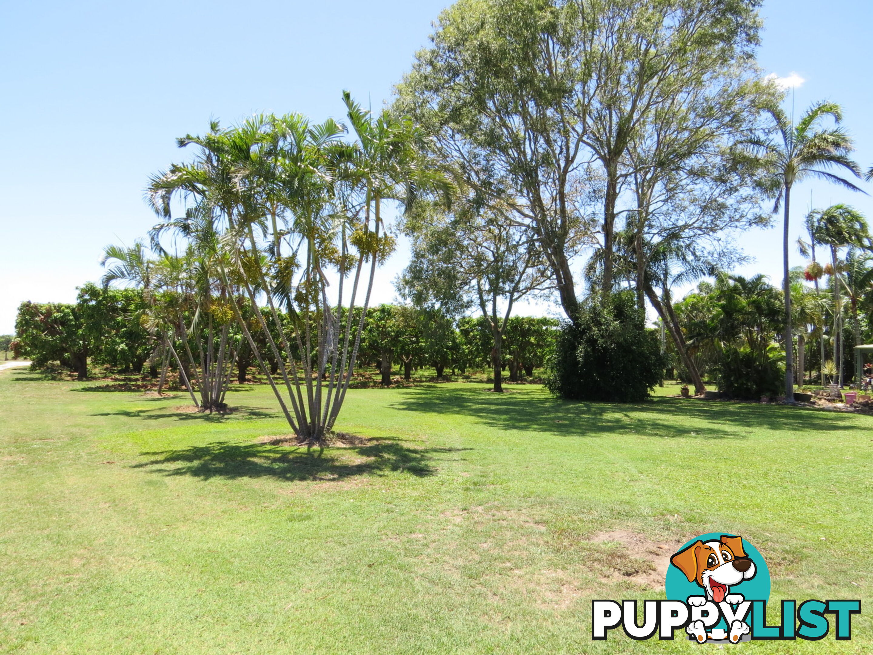 82 Weekes Road Bowen QLD 4805