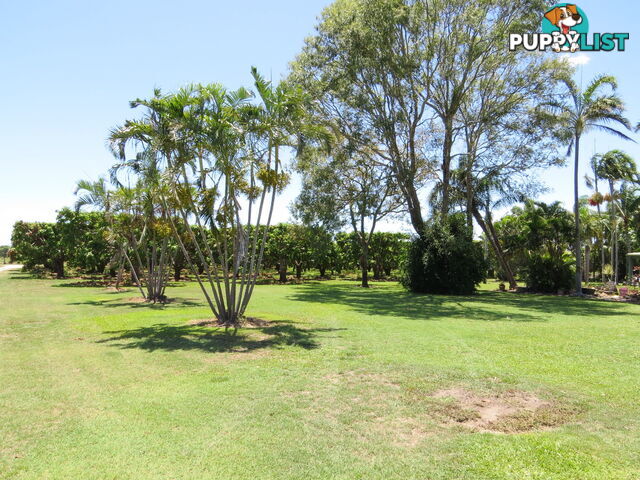 82 Weekes Road Bowen QLD 4805