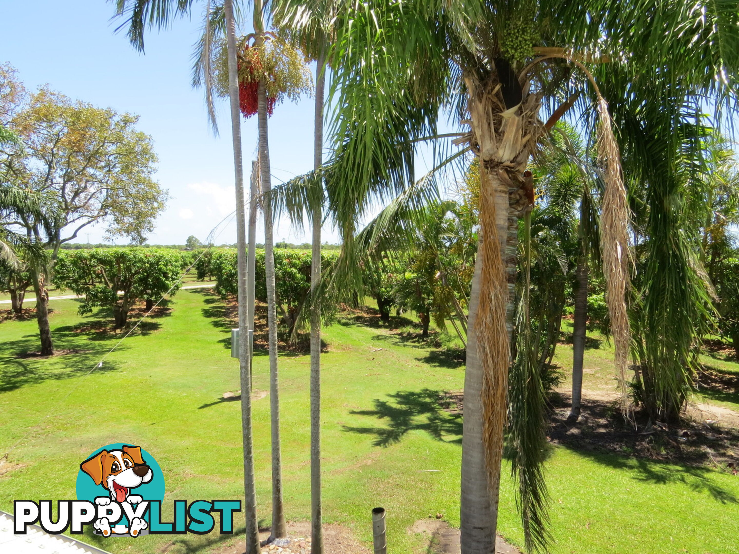 82 Weekes Road Bowen QLD 4805