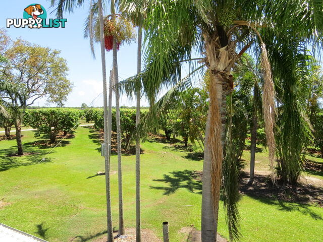 82 Weekes Road Bowen QLD 4805