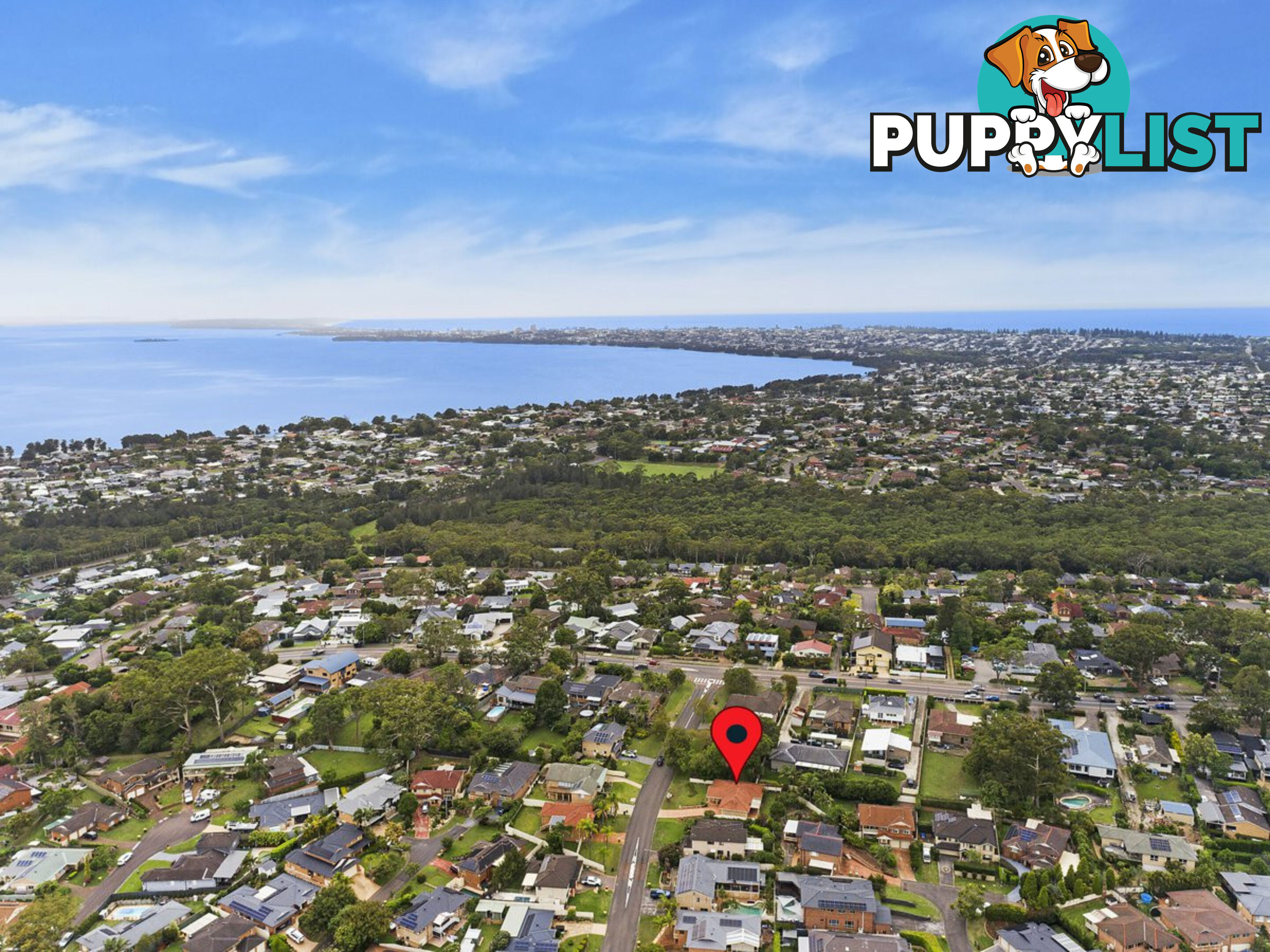 4 Tesoriero Tce TUMBI UMBI NSW 2261