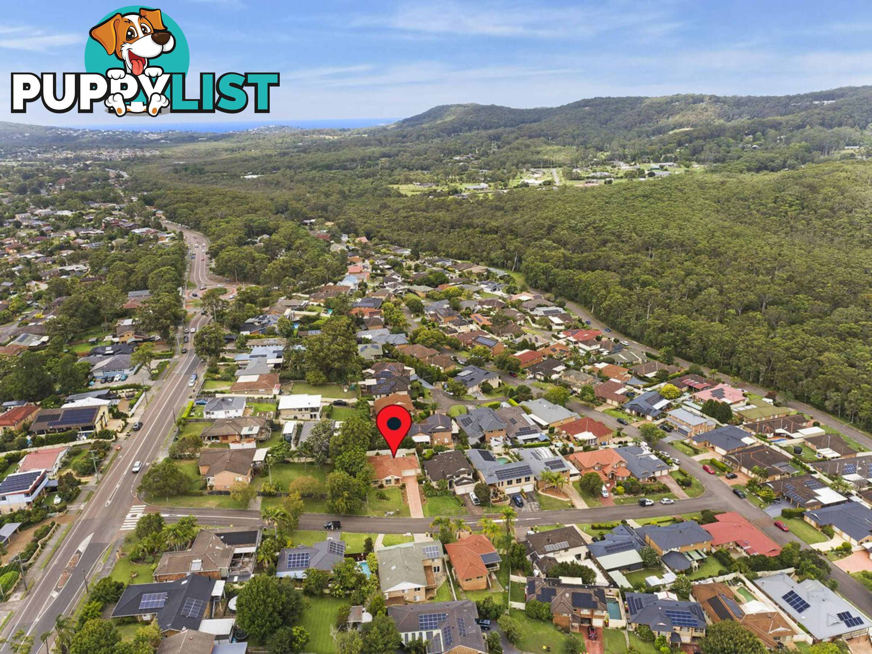 4 Tesoriero Tce TUMBI UMBI NSW 2261