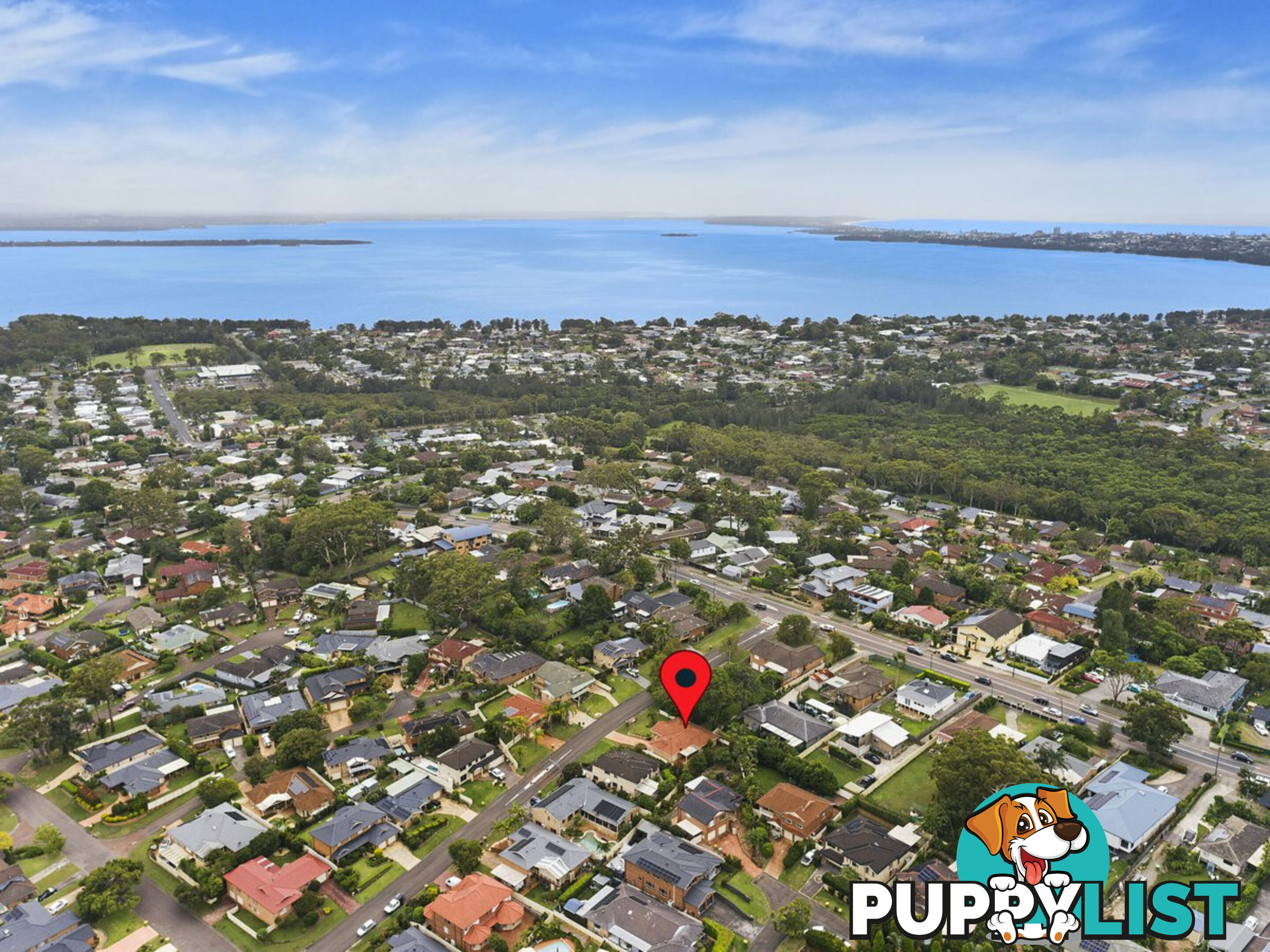 4 Tesoriero Tce TUMBI UMBI NSW 2261