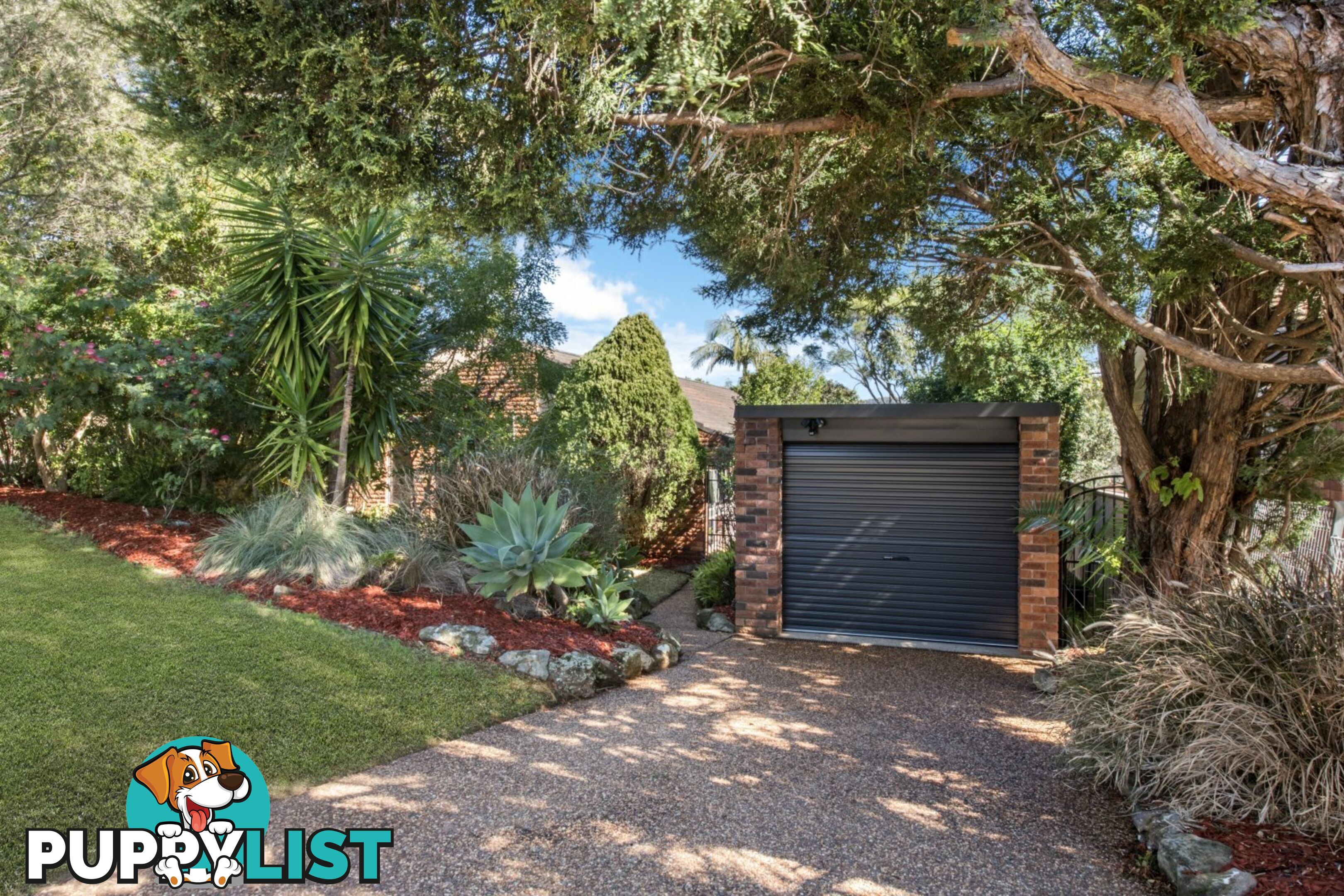 31 Patricia Street KILLARNEY VALE NSW 2261