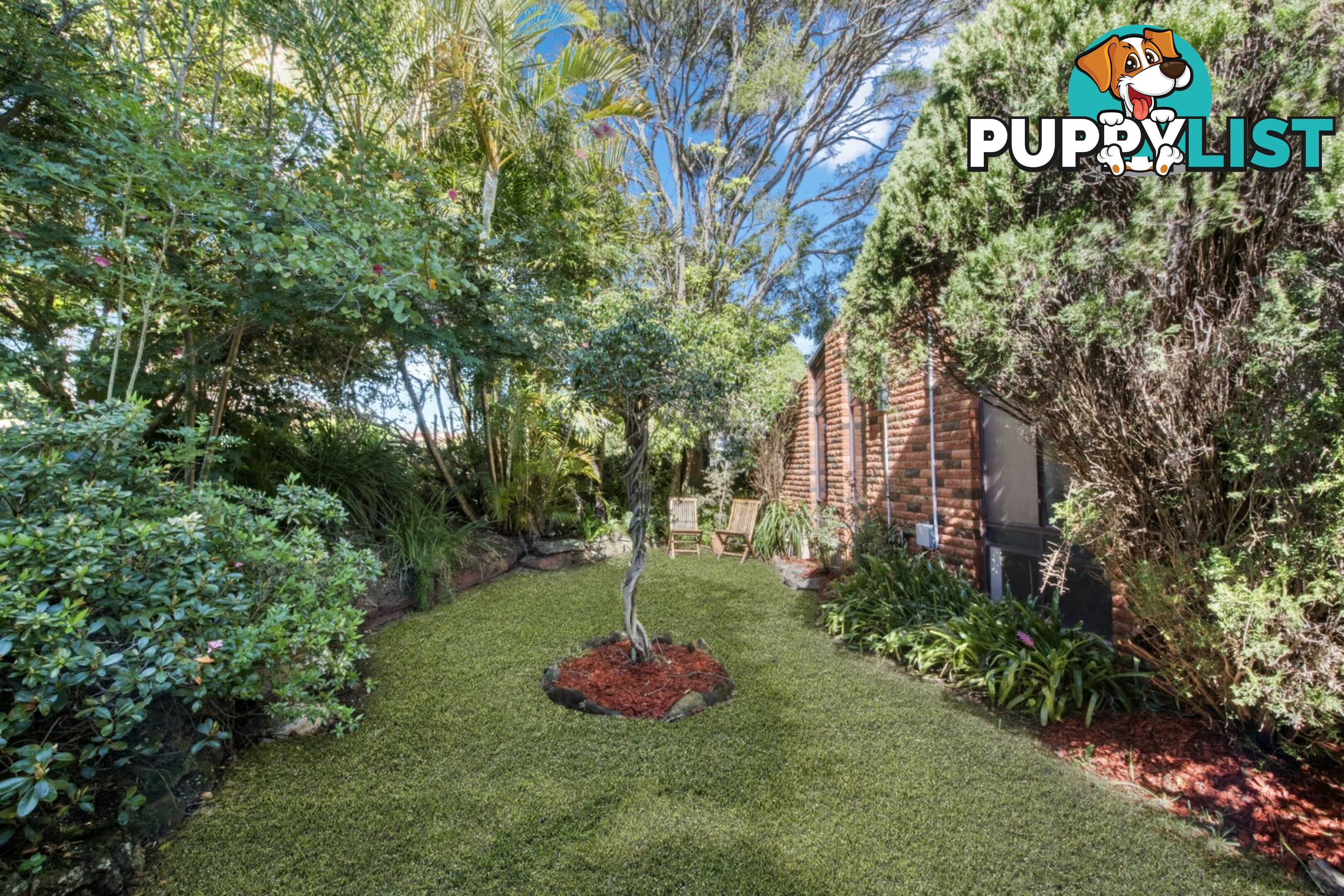 31 Patricia Street KILLARNEY VALE NSW 2261