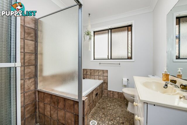 31 Patricia Street KILLARNEY VALE NSW 2261