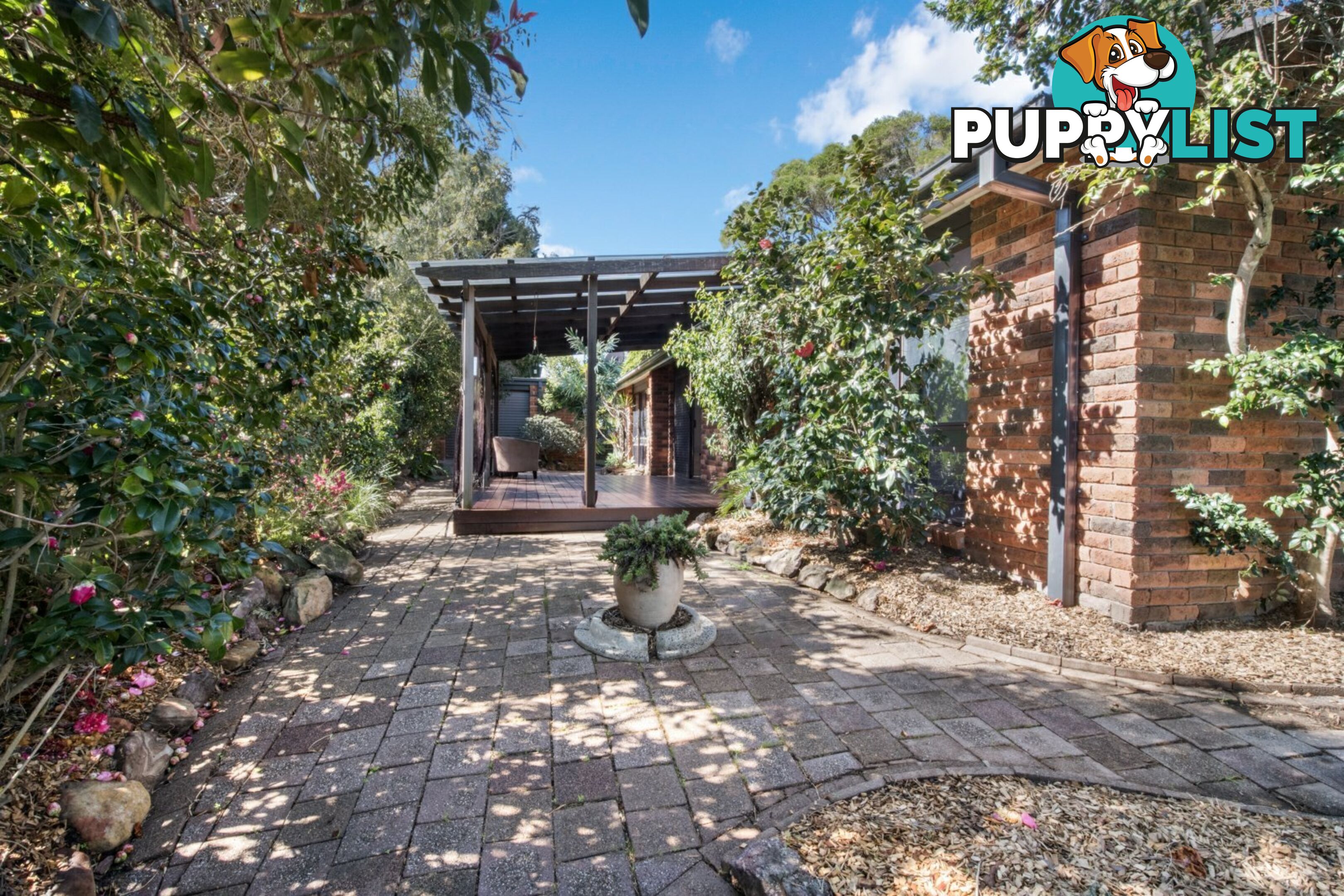 31 Patricia Street KILLARNEY VALE NSW 2261