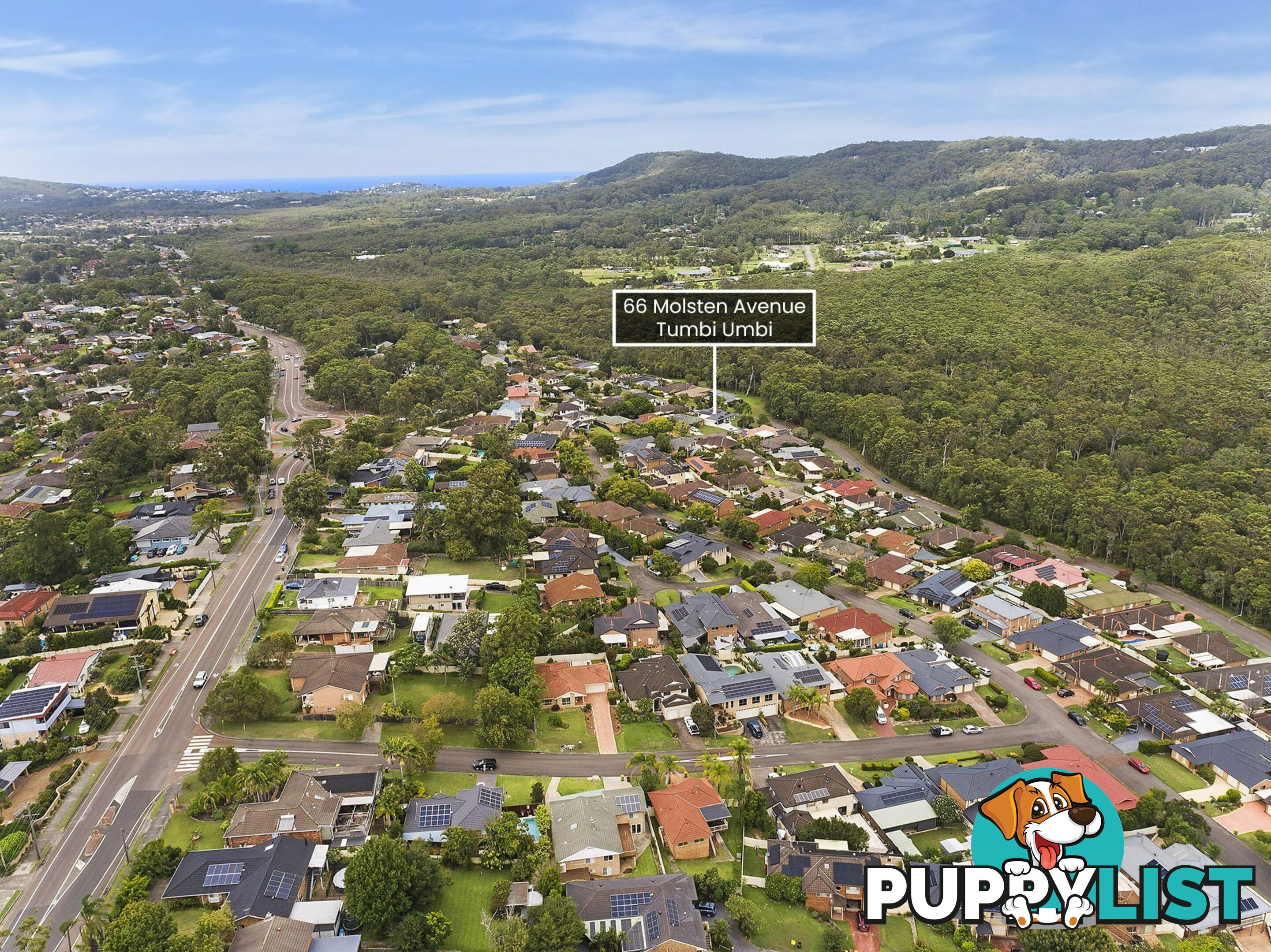 66 Molsten Avenue TUMBI UMBI NSW 2261