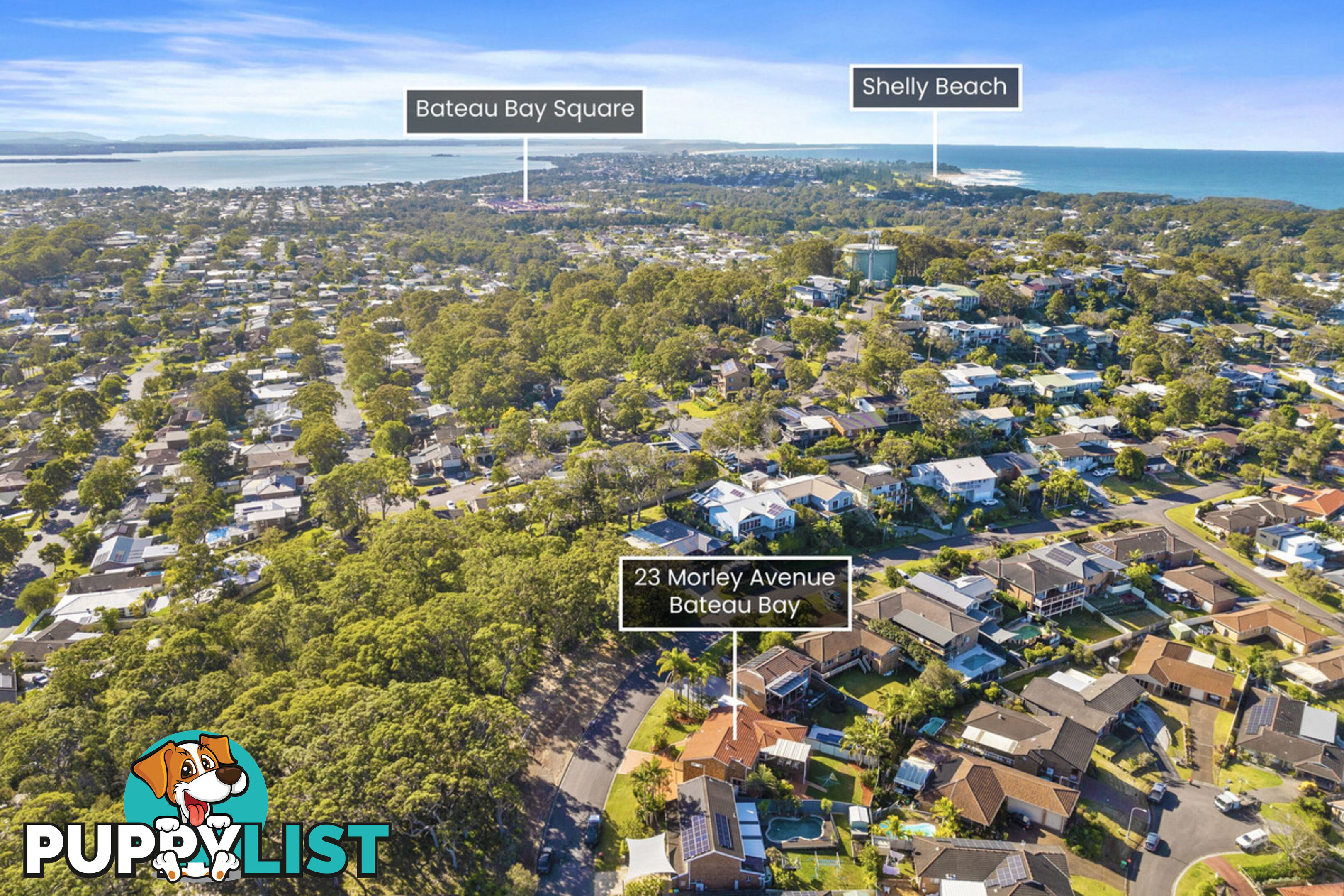 23 Morley Avenue BATEAU BAY NSW 2261