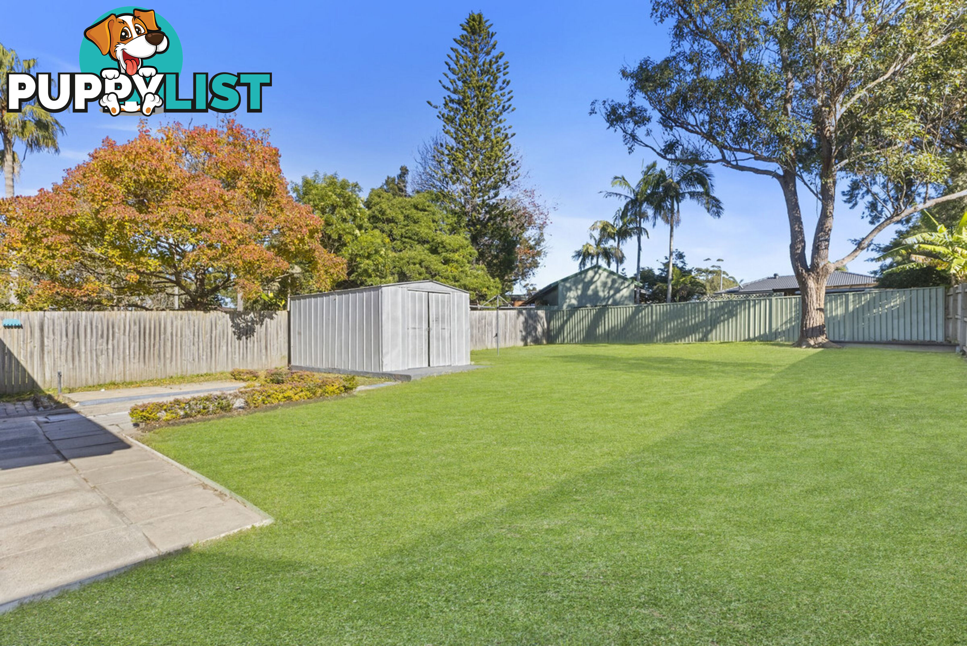 33 South Street KILLARNEY VALE NSW 2261