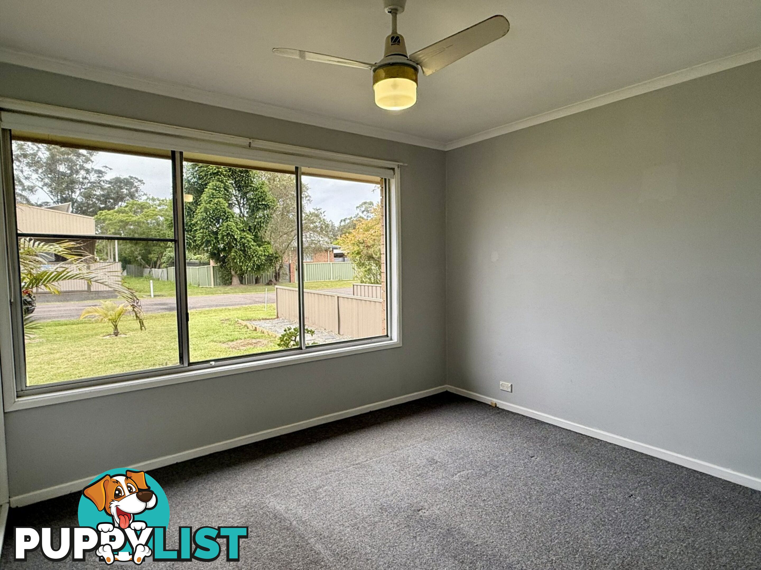 6 Echidna Street BERKELEY VALE NSW 2261