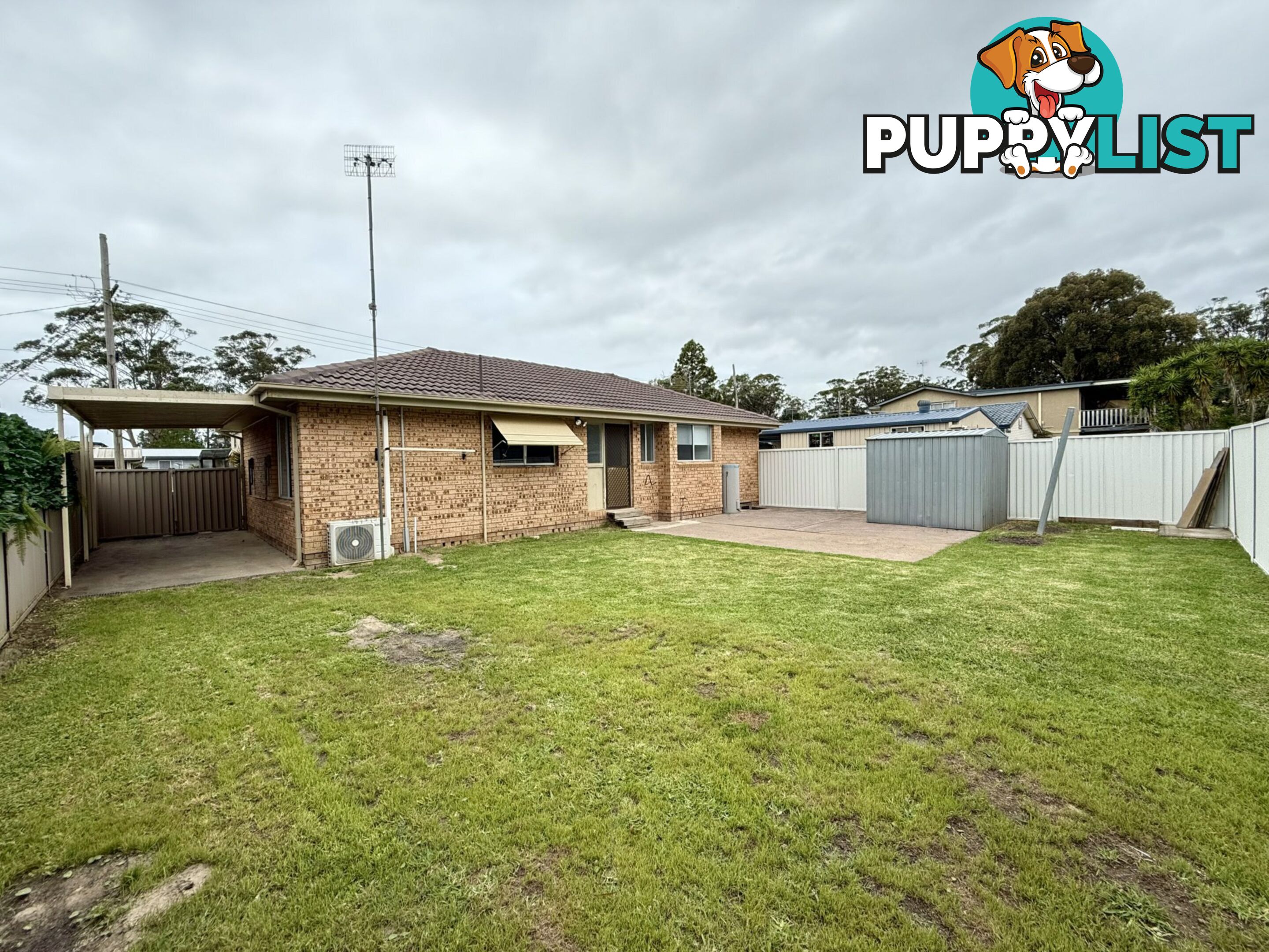 6 Echidna Street BERKELEY VALE NSW 2261