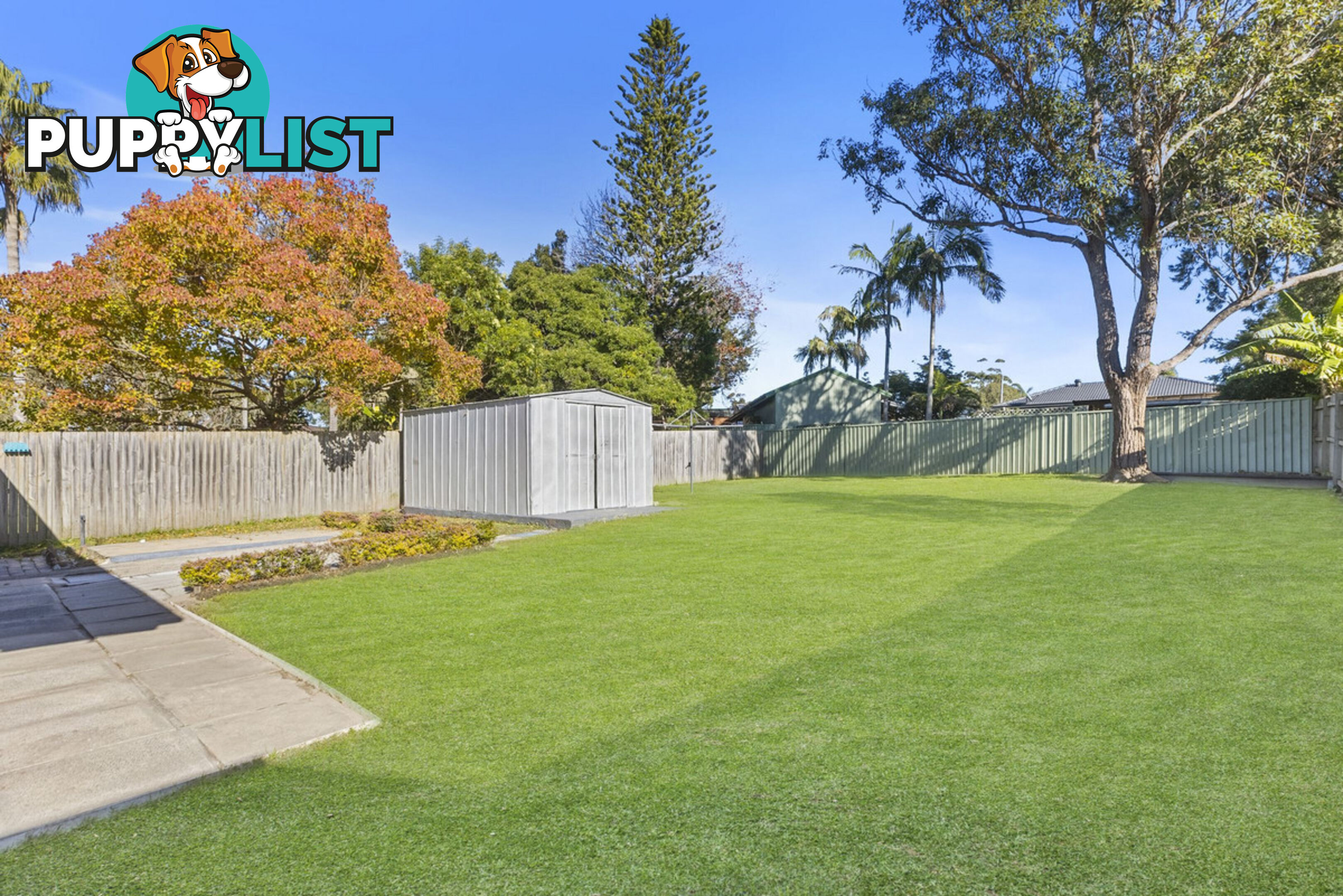33 South Street KILLARNEY VALE NSW 2261