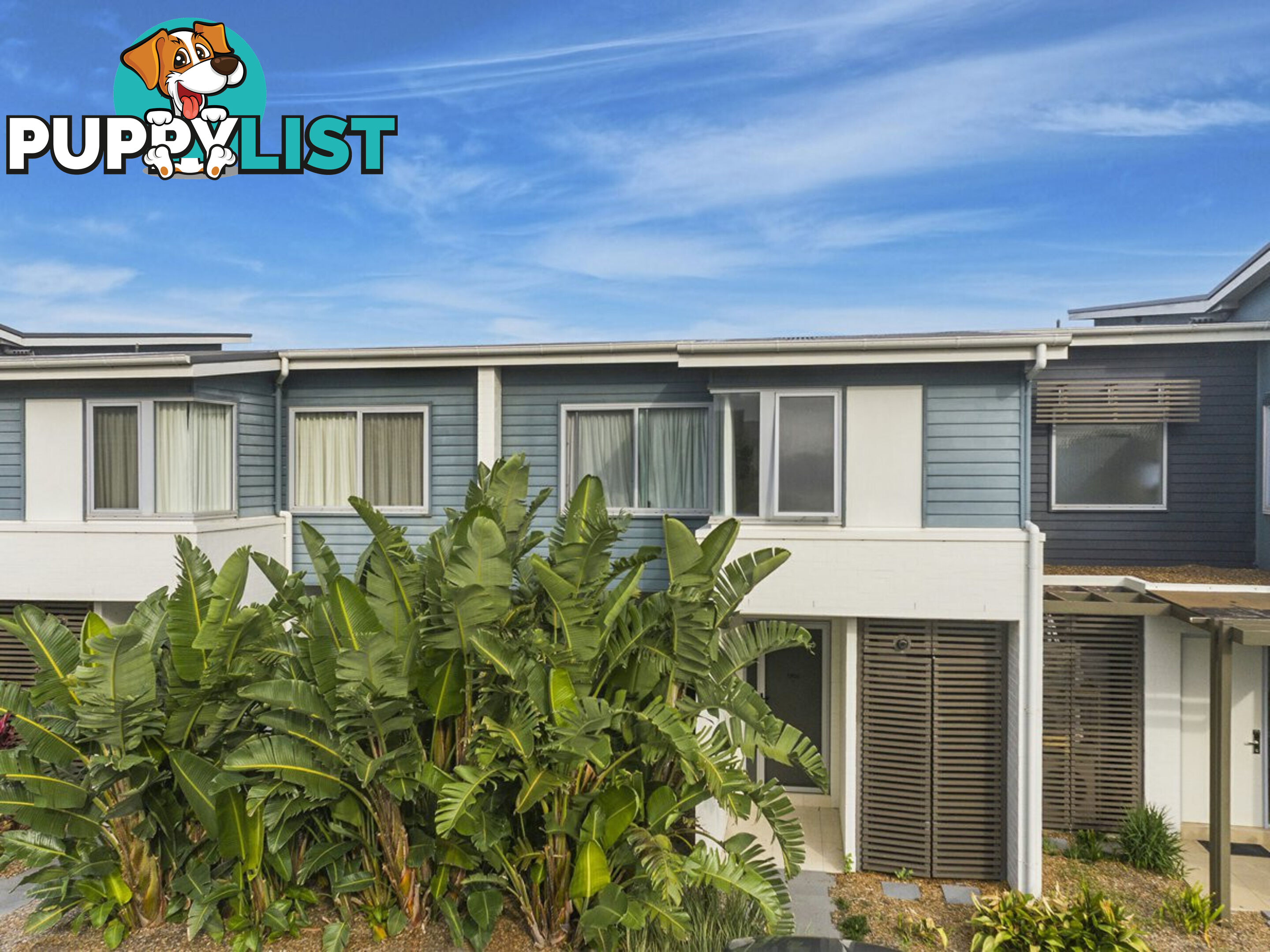 1906 White Haven Avenue MAGENTA NSW 2261