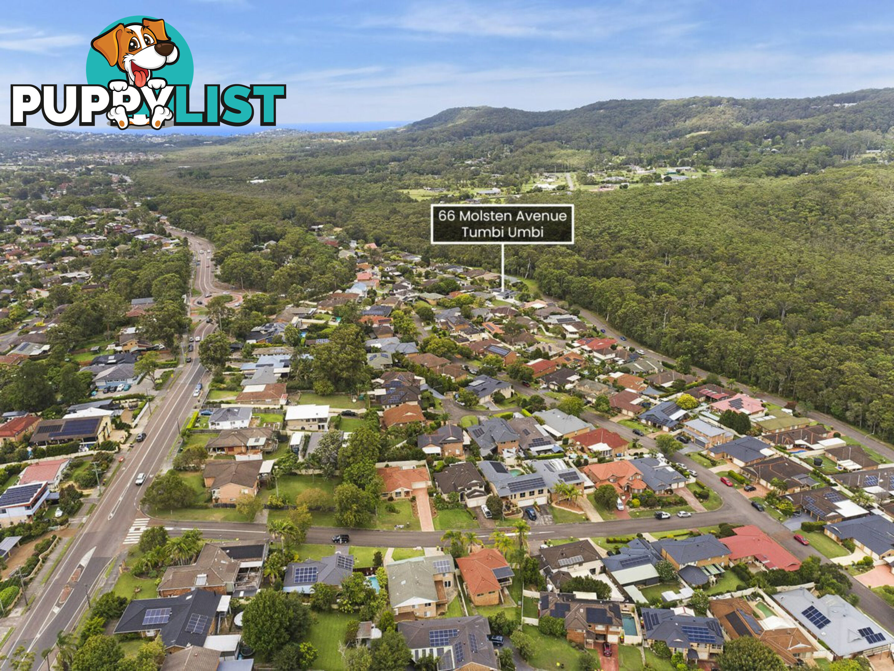 66 Molsten Avenue TUMBI UMBI NSW 2261