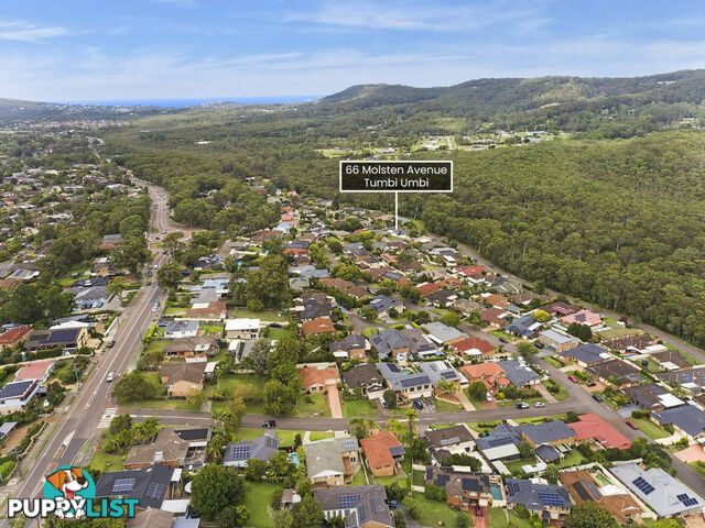 66 Molsten Avenue TUMBI UMBI NSW 2261