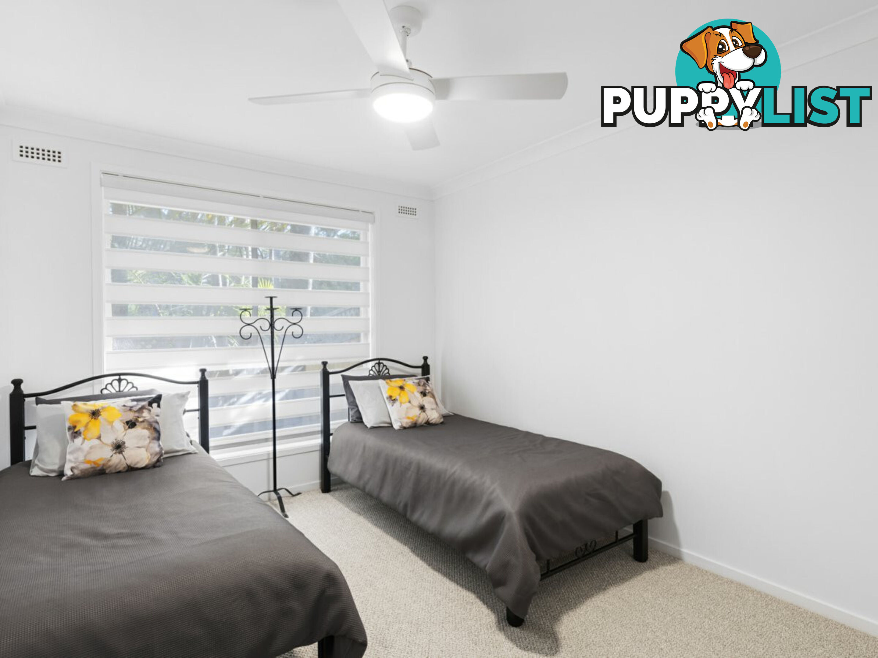 66 Molsten Avenue TUMBI UMBI NSW 2261