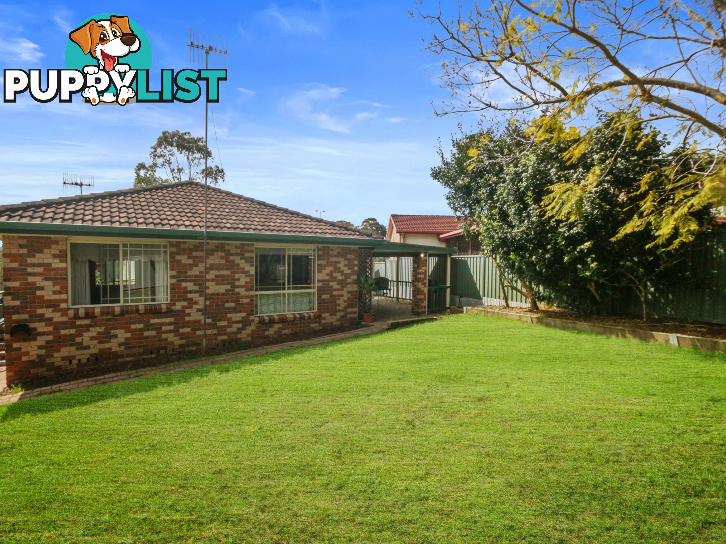 43 Patricia Street KILLARNEY VALE NSW 2261