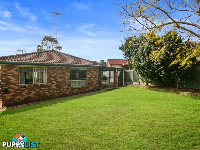 43 Patricia Street KILLARNEY VALE NSW 2261