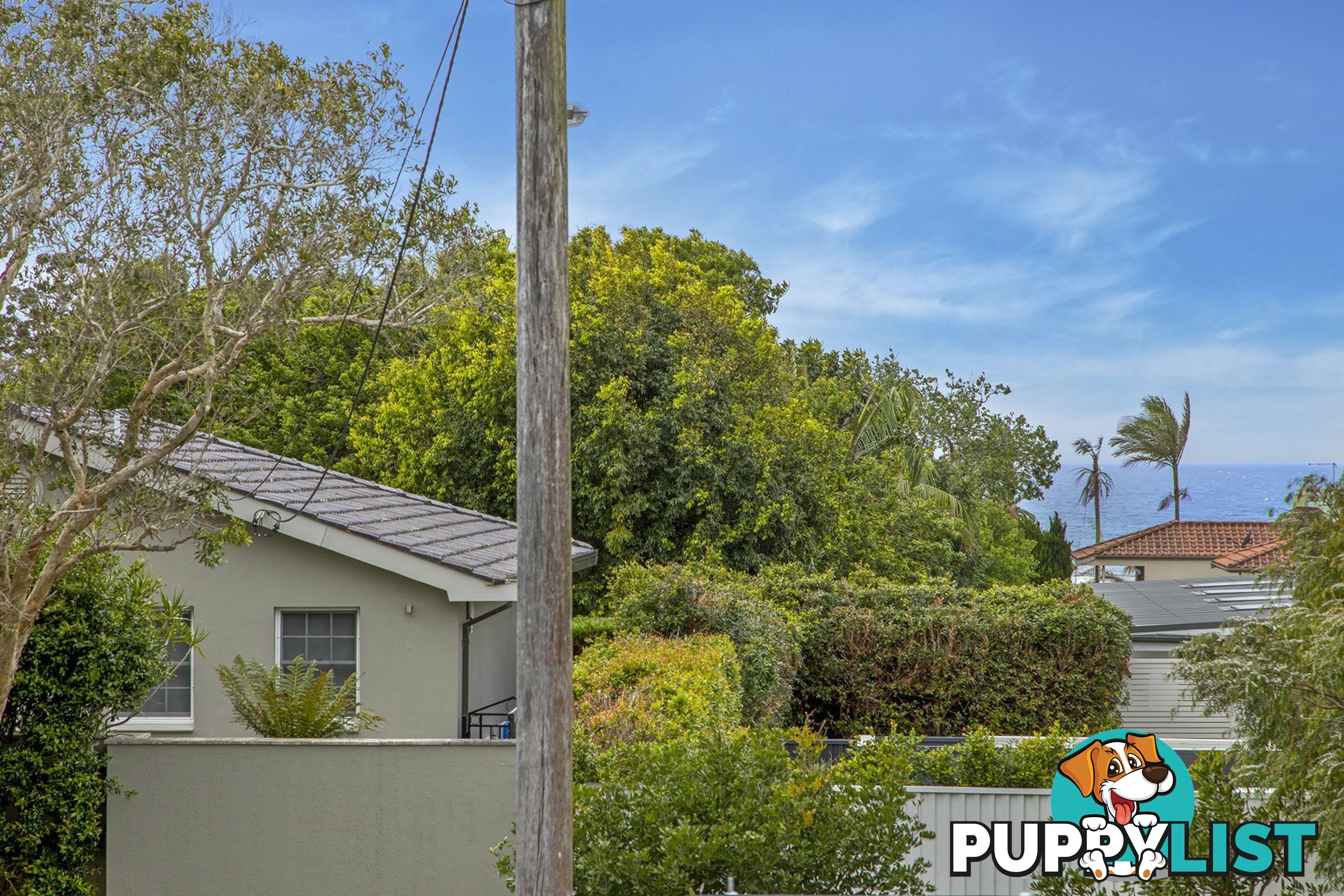 1 Harbour Street CRONULLA NSW 2230