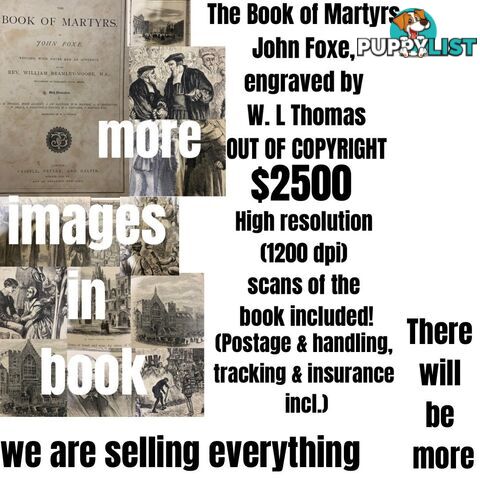 The Book of Martyrs John Foze engraved by W L Thomas OUT OF COPYRIGHT Book