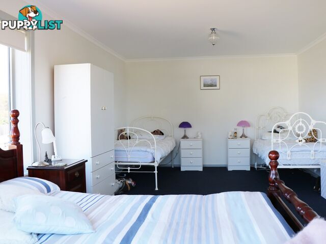 40 Stieglitz Street FALMOUTH TAS 7215