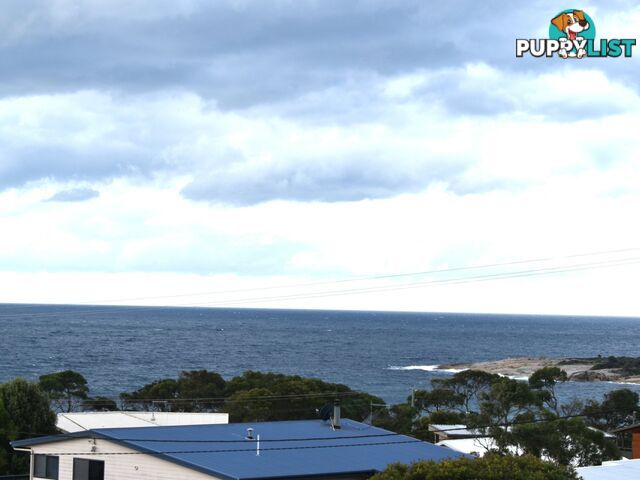 35 Murray Street BICHENO TAS 7215