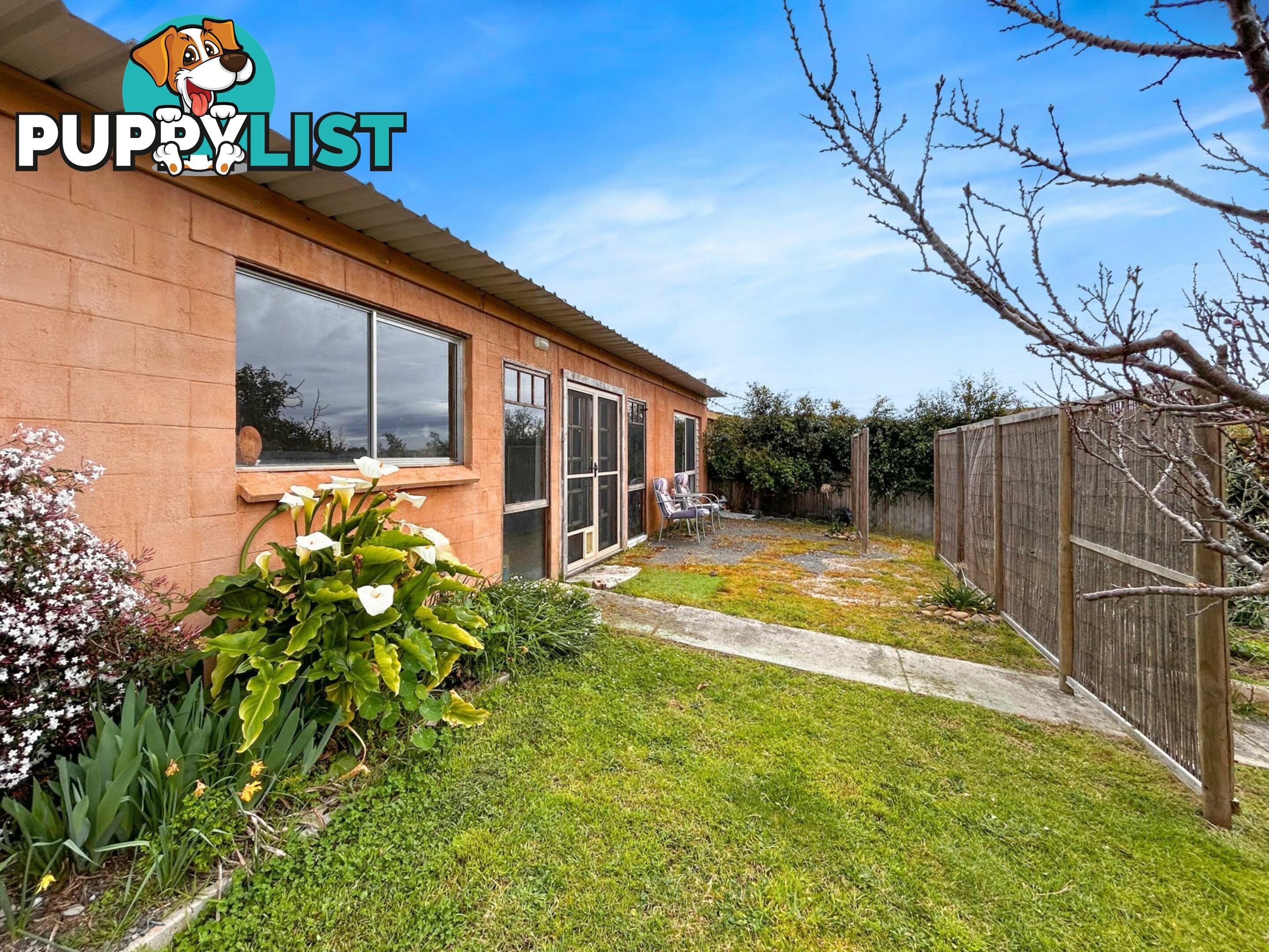 14 Lawry Heights ST HELENS TAS 7216