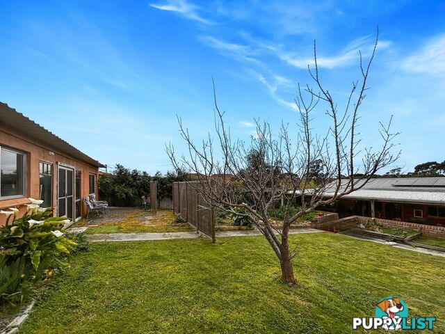 14 Lawry Heights ST HELENS TAS 7216