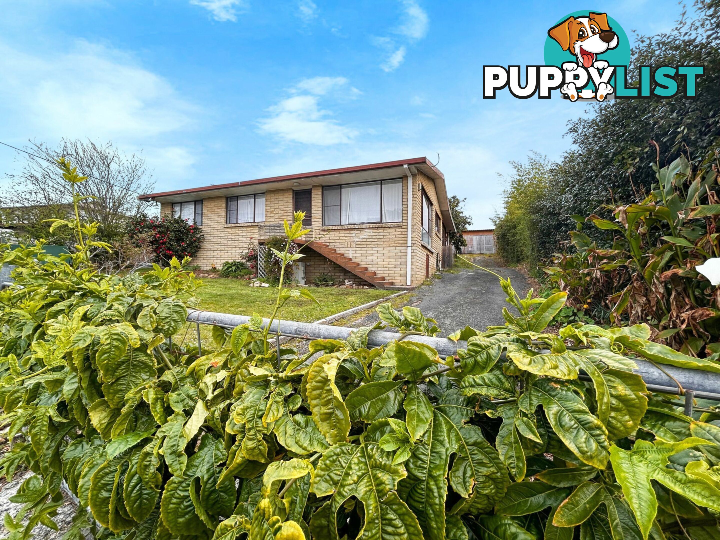 14 Lawry Heights ST HELENS TAS 7216