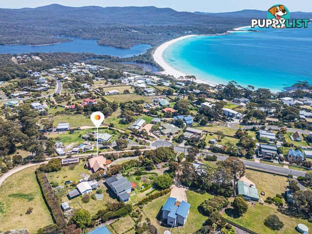 16 Pacific Drive BINALONG BAY TAS 7216