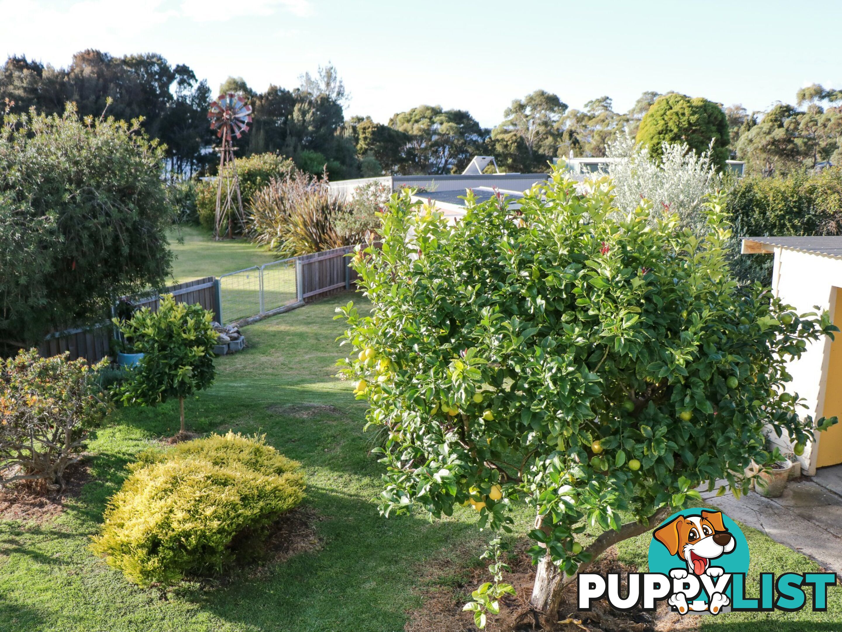 7 Cray Court BINALONG BAY TAS 7216