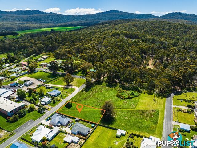 1 Hugh Street ST MARYS TAS 7215