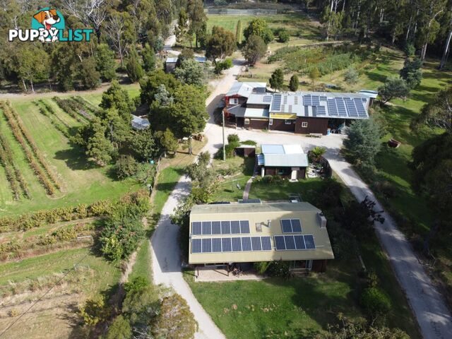 89 Upper Scamander Road SCAMANDER TAS 7215