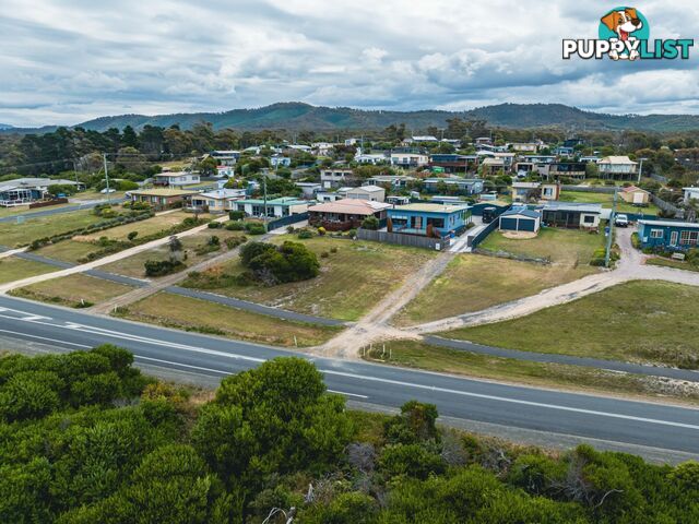 285 Tasman Highway BEAUMARIS TAS 7215