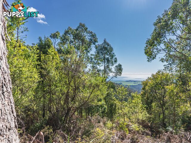 Lot 5 Lower German Town Road ST MARYS TAS 7215